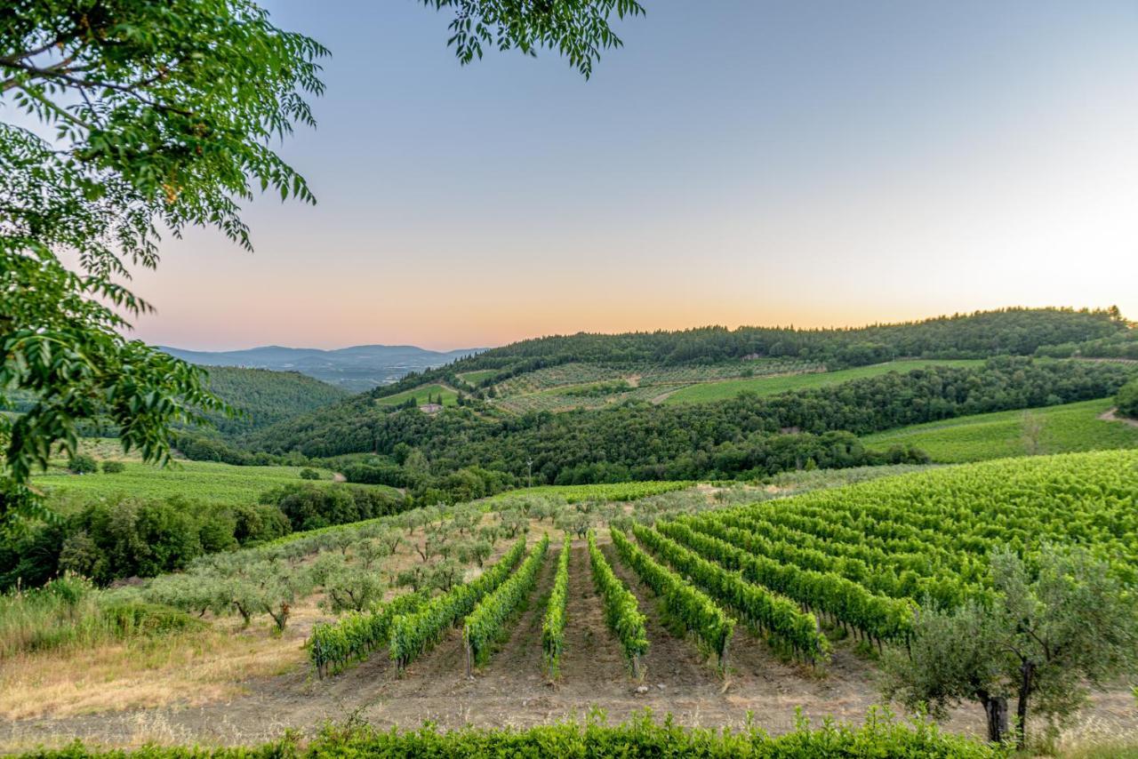 Villa Agriturismo Concadoro Castellina in Chianti Exterior foto