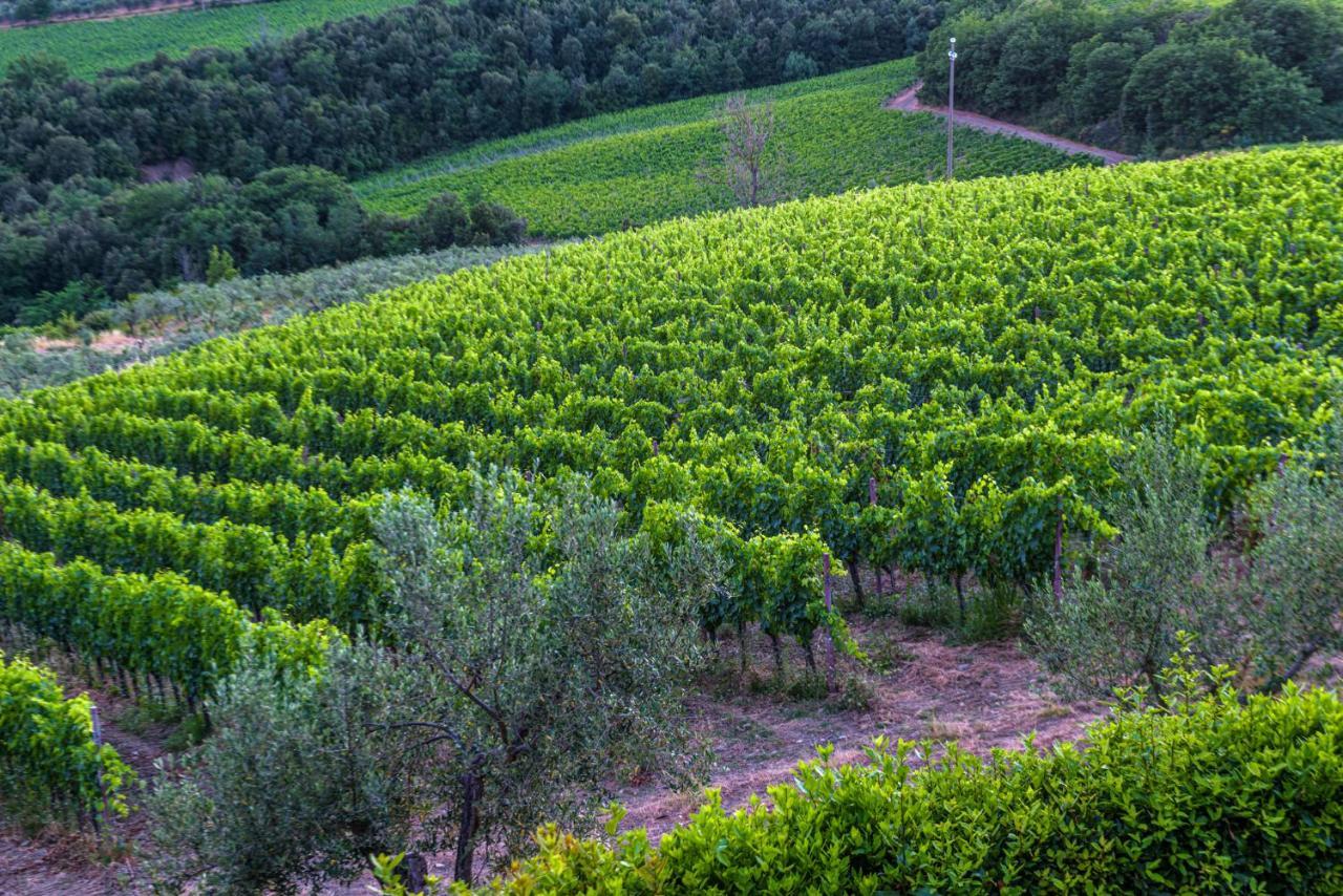 Villa Agriturismo Concadoro Castellina in Chianti Exterior foto